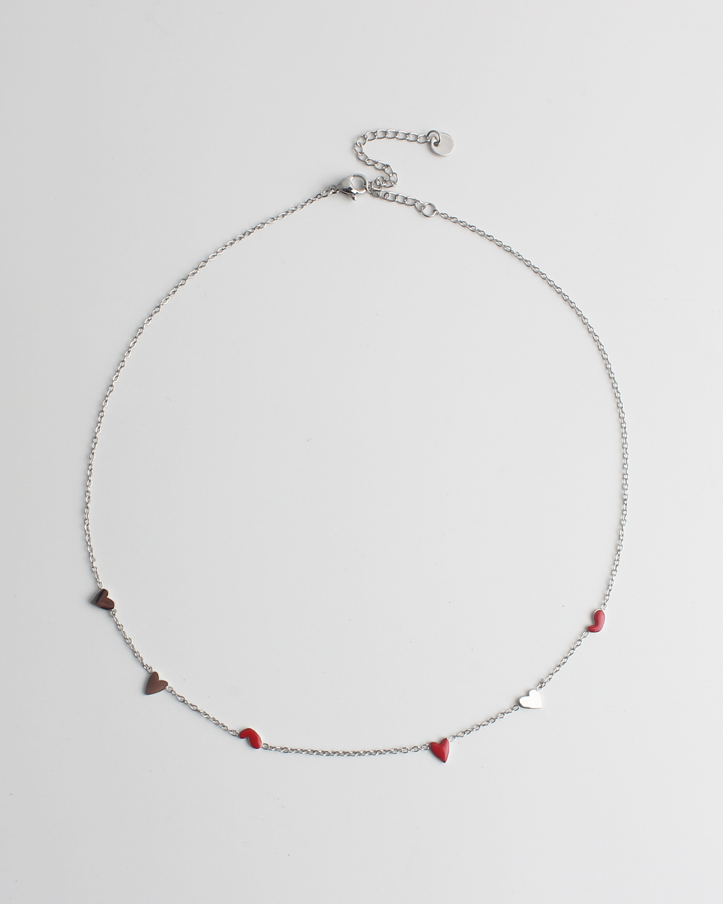 Lien - Ketting - Stainless Steel