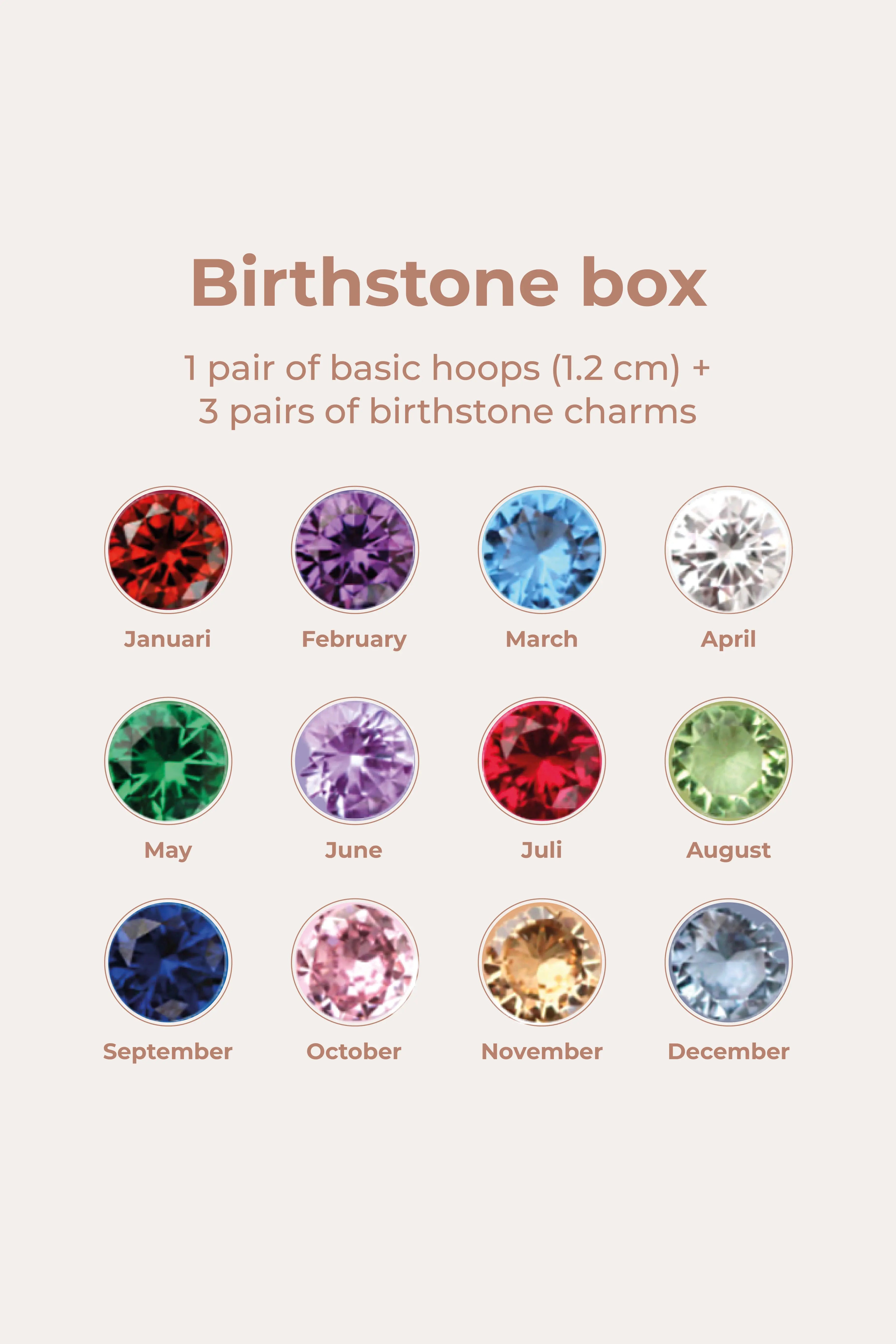 Birthstonebox - Oorbellen - Set - Stainless Steel