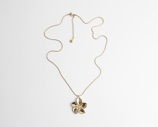 Shaïra - Ketting - Stainless Steel