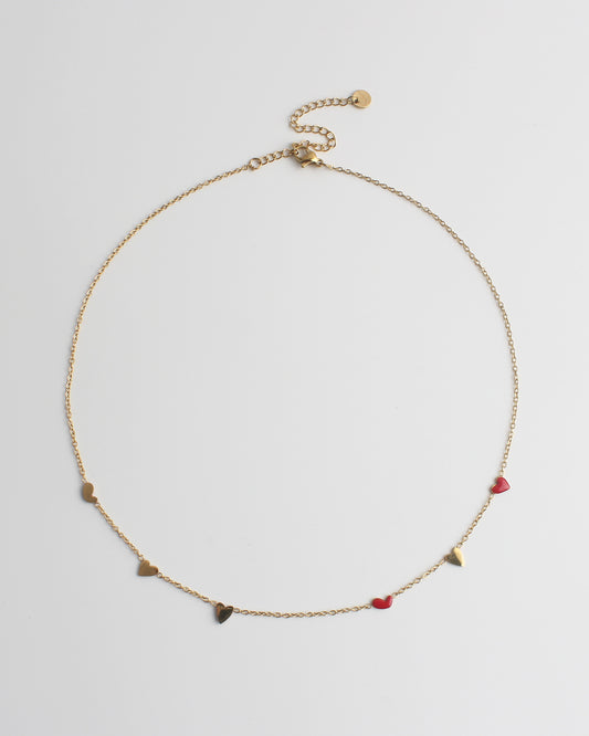 Lien - Ketting - Stainless Steel