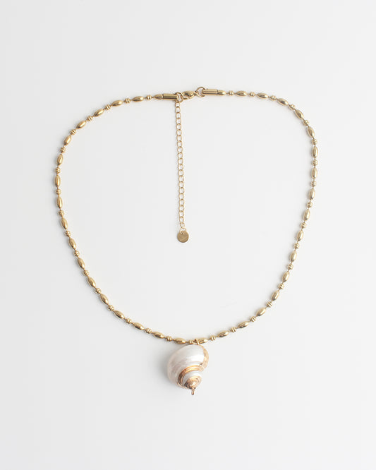 Sea Shell - Ketting - Stainless Steel