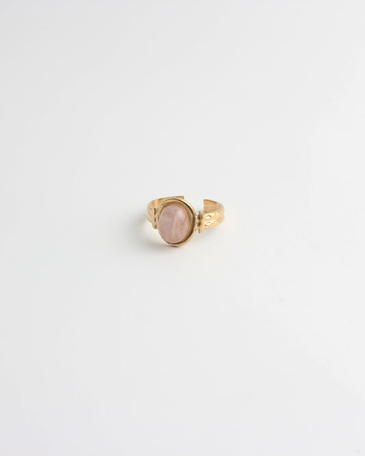 Megane - Ring - Stainless Steel - Verstelbaar