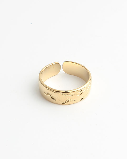 Hirundo - Ring - Stainless Steel - Verstelbaar