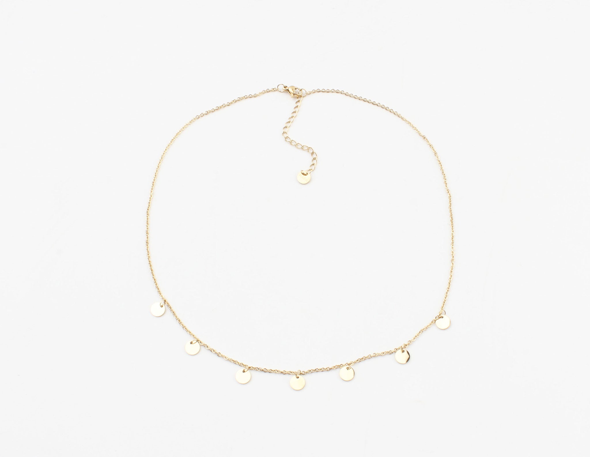 Coins - Ketting - Stainless Steel