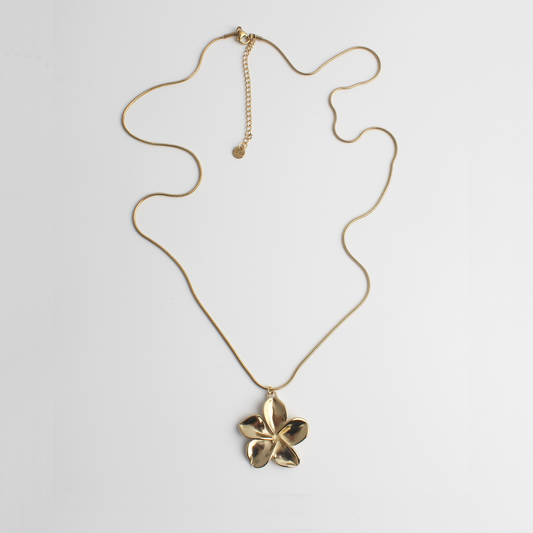 Shaïra - Ketting - Stainless Steel