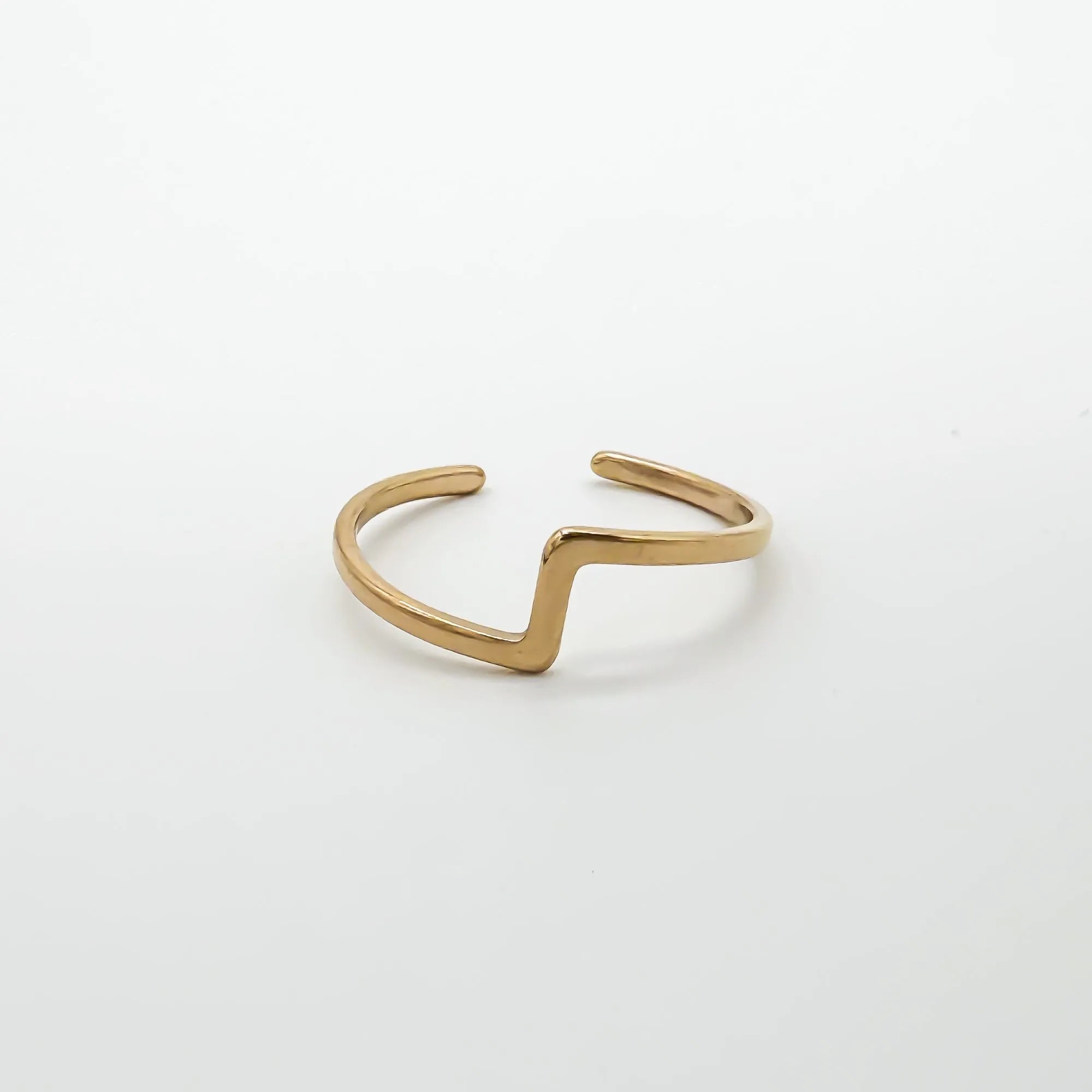 Robin - Ring - Stainless Steel - Verstelbaar