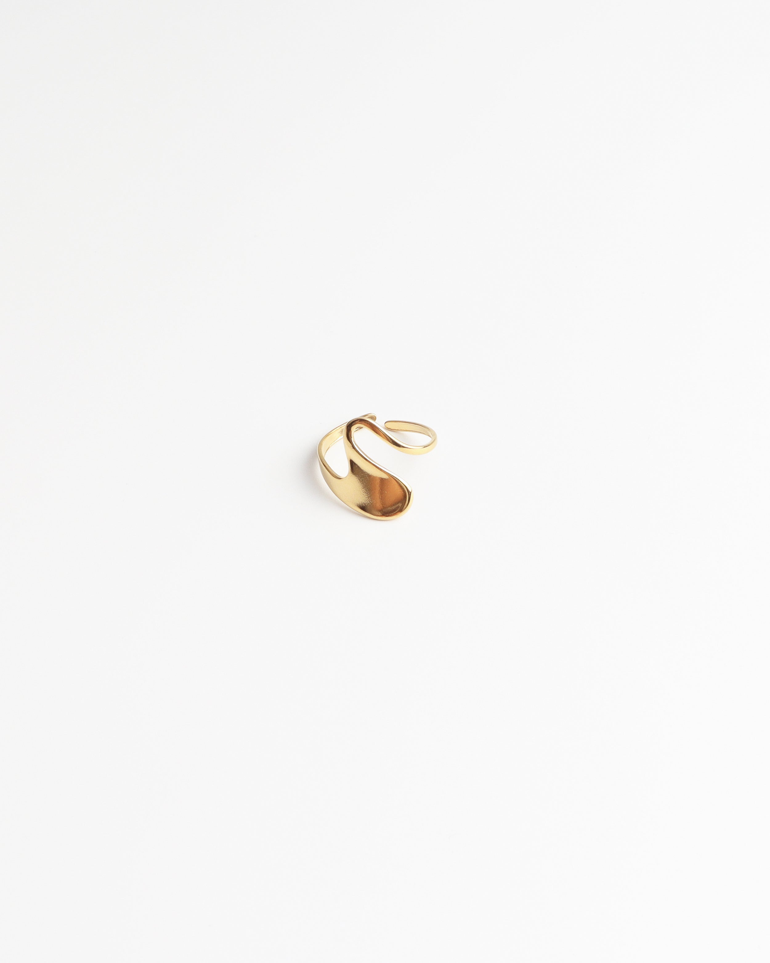 Suze - Ring - Stainless Steel - Verstelbaar