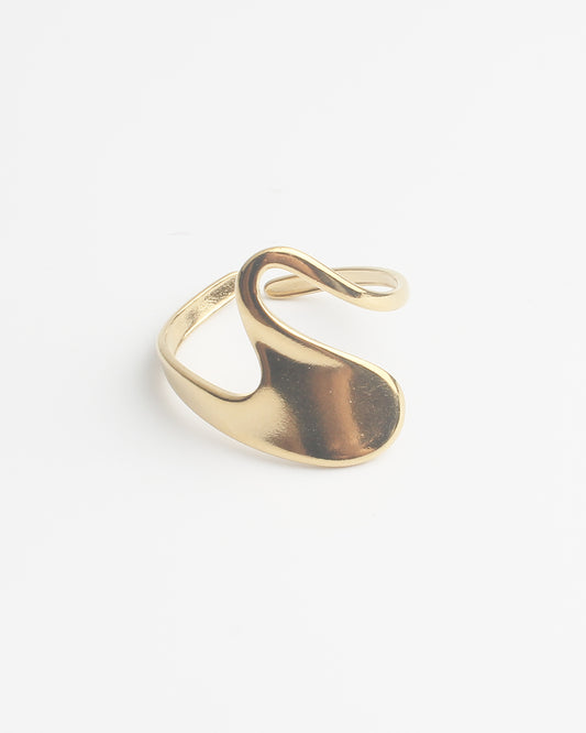Suze - Ring - Stainless Steel - Verstelbaar